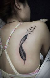 -刺客纹画纹身·洗纹身·穿孔饰品