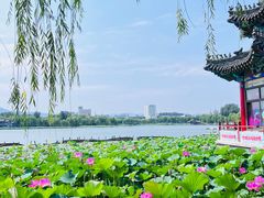 -济南大明湖景区