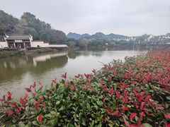 -水香园·中国徽菜名店(紫霞大道店)