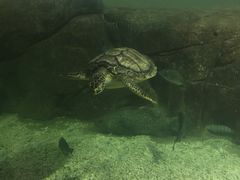 -福州罗源湾海洋世界旅游区