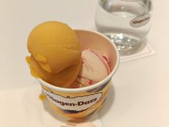 -哈根达斯(深圳海岸城店)