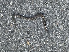 -丹东天桥沟景区