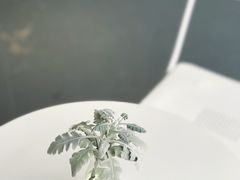 -Local Coffee(和桂店)