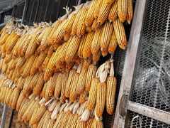 -亚布力新体委滑雪场