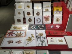 -扶光书店(中环店)