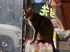 -普宁反沙番薯芋头