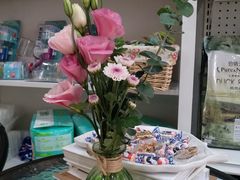 -圣宠宠物(平吉花卉市场店)