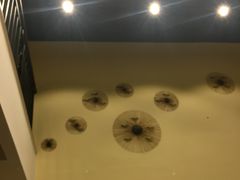 -帕尔拉多吉他工作室