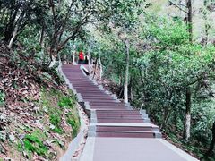 -云碧峰国家森林公园