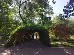 -莲花池公园