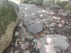 -武汉姚家山旅游景区