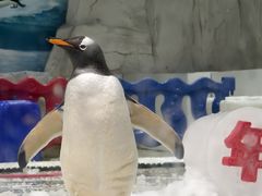 -华夏文旅海洋公园