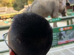 -野象谷景区