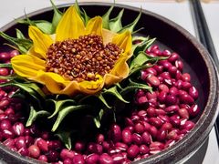 -觀芷隐轩