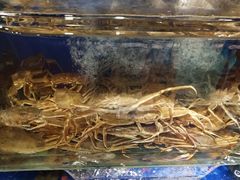 -马路边上·小海鲜烧烤(八一路店)
