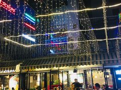 -刘姐啤酒鱼民族演艺餐厅(西街总店)