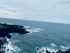 -涉地可支