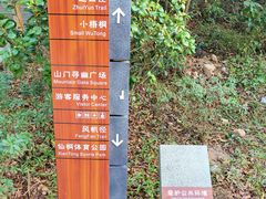 -梧桐山风景名胜区