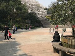 -杭州少年儿童公园