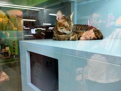 -FAELING PETS美天灵宠物(合生汇店)
