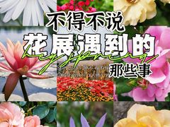 -上海植物园-4号门售票处