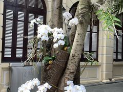 -圣约瑟夫大教堂