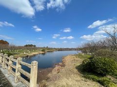 -上海海湾国家森林公园