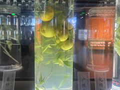 -广东中医药博物馆