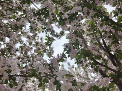 -天津东丽湖风景区