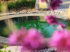 -太白山御龙湾温泉