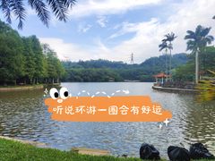 -深圳仙湖植物园
