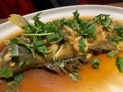清蒸大黄花鱼-渔家颂歌渔家味道(青石路店)