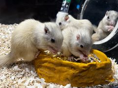 -太平洋海底世界