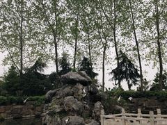 -无锡市乌鹤山公墓办事处