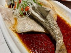 -燕郊烧鸽子(酷车小镇店)