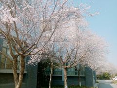 -南京晓庄学院(莫愁校区)