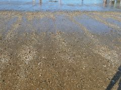 -宁波松兰山滨海旅游度假区