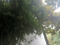 -包公祠