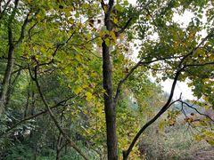 -西湖风景区-江洋畈生态公园