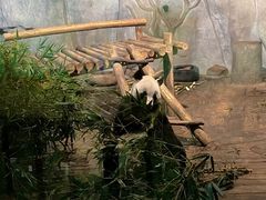 -深圳野生动物园