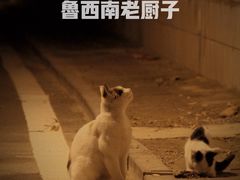 -鲁西南老厨子·特色鲁菜(经一纬五店)