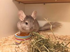 -龙猫仔乐园(惠福东路店)