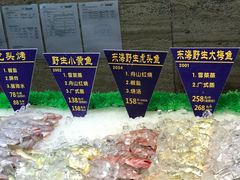 -骏莱海鲜鱼港(五角场店)