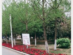 -长白岛森林公园