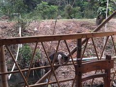 大堂-龙坛美食店