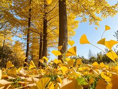 -南京银杏湖乐园