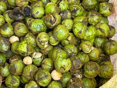 -东天目山风景区