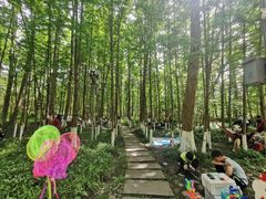 -桤木河湿地公园