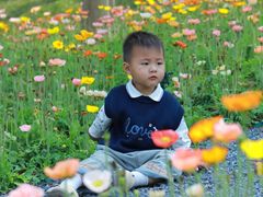 -云溪植物园
