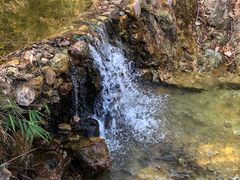 -南海湾森林生态园